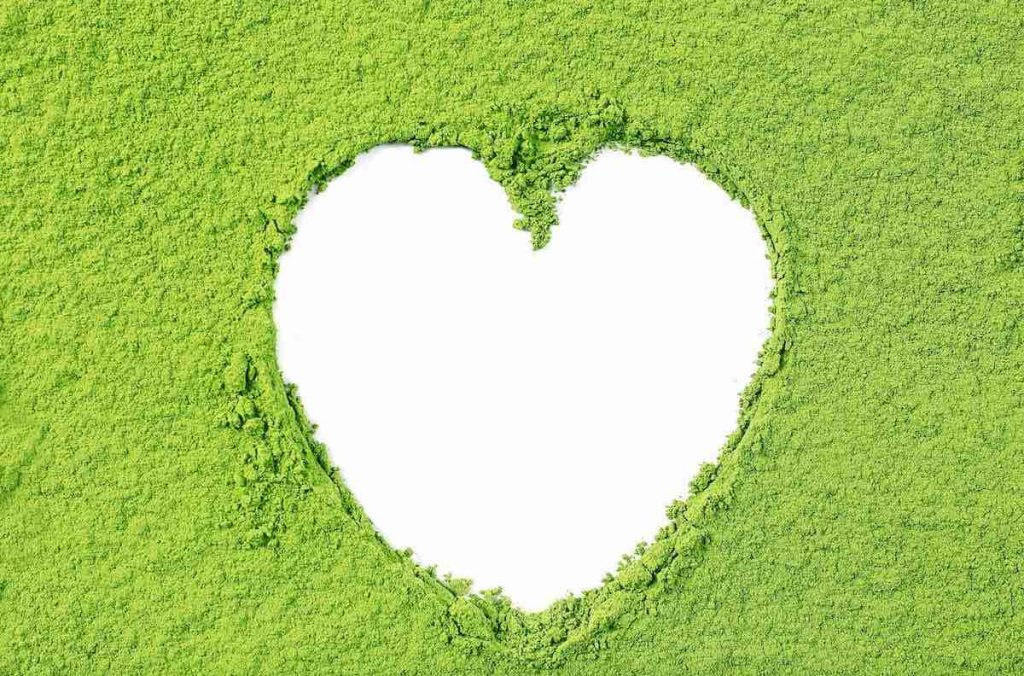 Matcha's many benefits include its L-theanine content